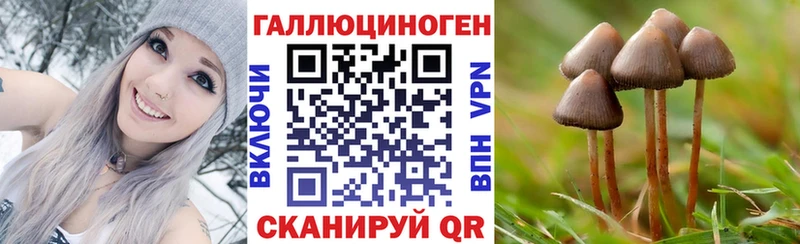 сколько стоит  Лениногорск  Галлюциногенные грибы Psilocybe 